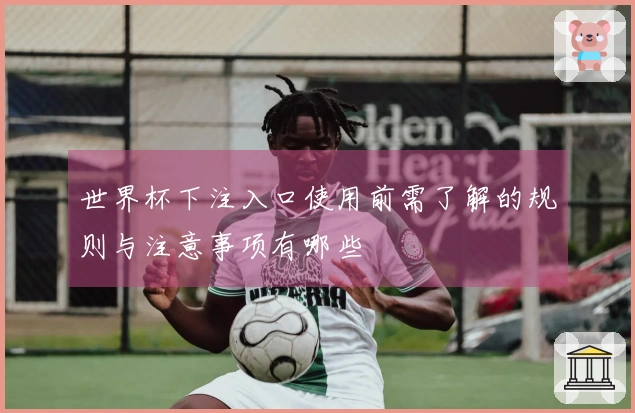 世界杯下注入口使用前需了解的规则与注意事项有哪些