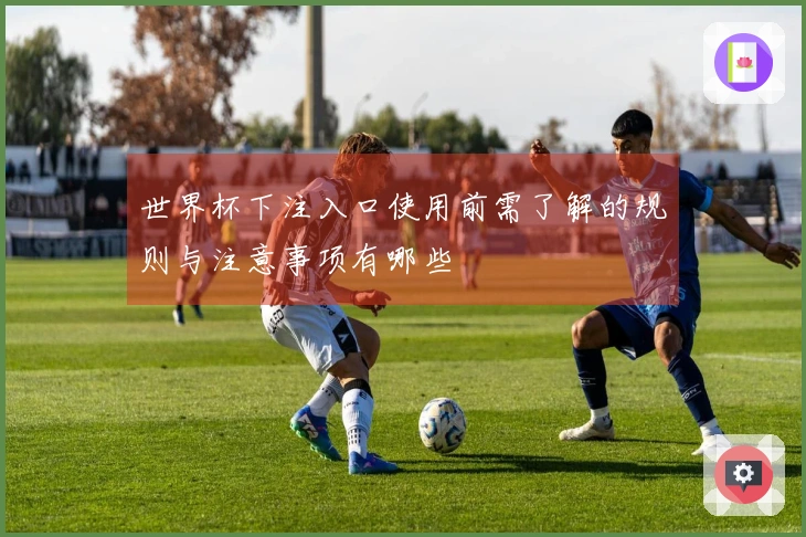 世界杯下注入口使用前需了解的规则与注意事项有哪些