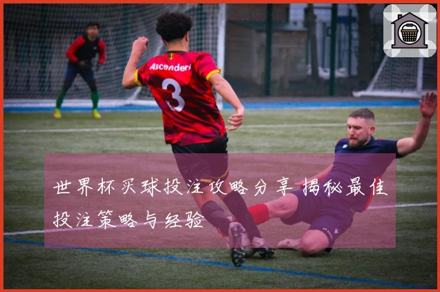 世界杯买球投注攻略分享 揭秘最佳投注策略与经验