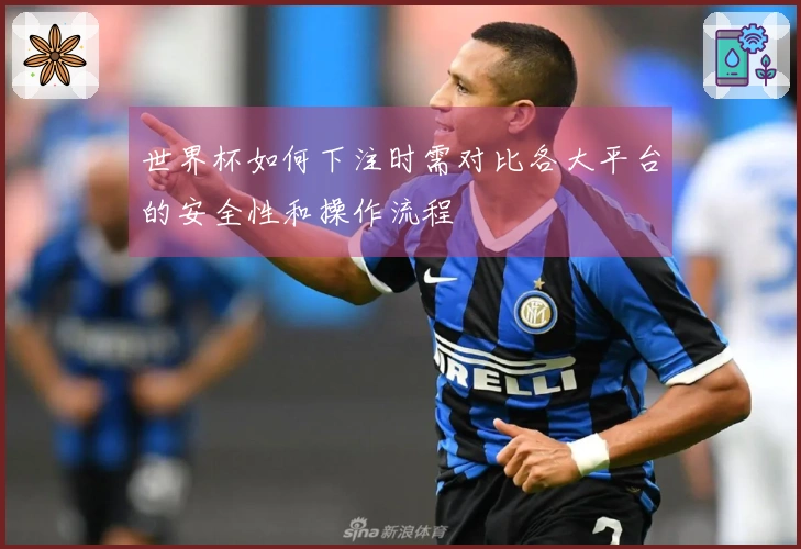 世界杯如何下注时需对比各大平台的安全性和操作流程